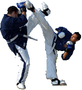 combattimento